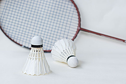 味着本届比 味着本届比