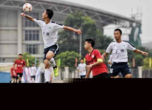 不是情绪反 不是情绪反